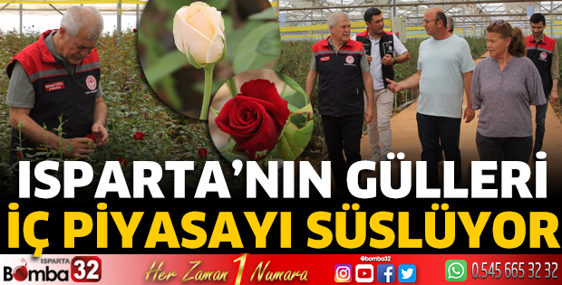 Isparta’da 2,5 Milyon Dal Gül Üretiliyor