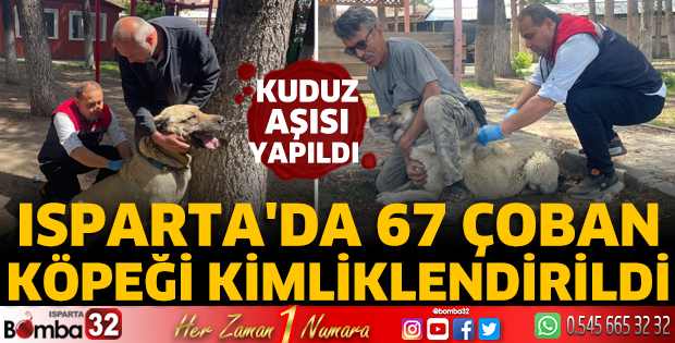 Isparta’da 67 çoban köpeği kimliklendirildi