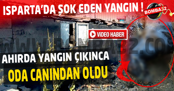 ISPARTA’DA AHIRDA  ÇIKAN YANGIN KORKUTTU