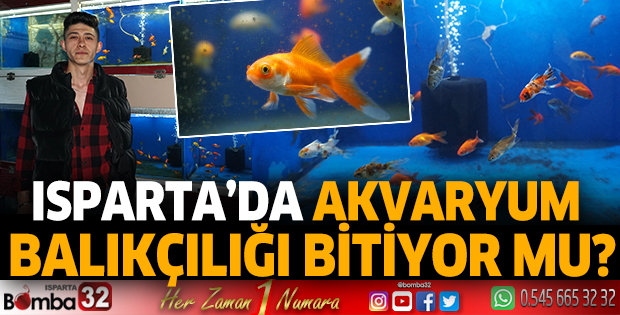Isparta’da akvaryumculuk bitiyor mu?