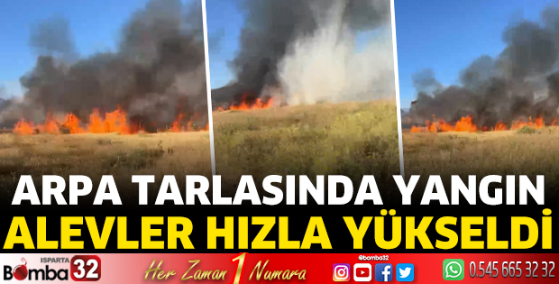 Isparta’da Arpa Tarlasında Yangın