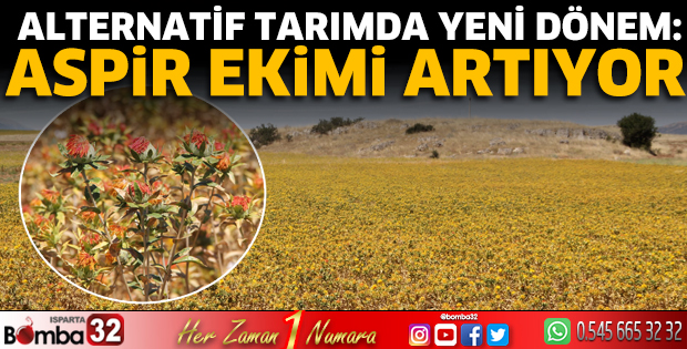 Isparta’da Aspir Üretimi Yaygınlaşıyor