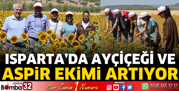 Isparta’da ayçiçeği ve aspir ekimi artıyor