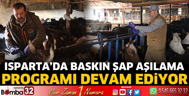 Isparta’da Baskın Şap Aşılama Programı devam ediyor