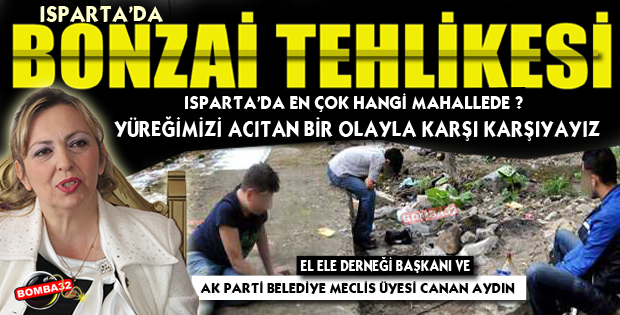 ISPARTA’DA BONZAİ TEHLİKESİ