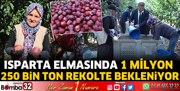 Isparta’da elma hasadı başladı