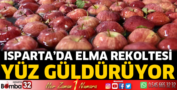 Isparta’da elma rekoltesi yüz güldürüyor