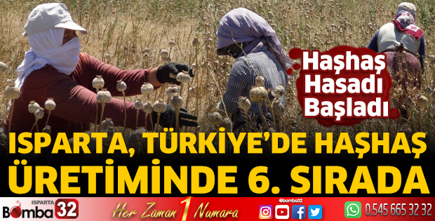 Isparta’da Haşhaş Hasadı Başladı