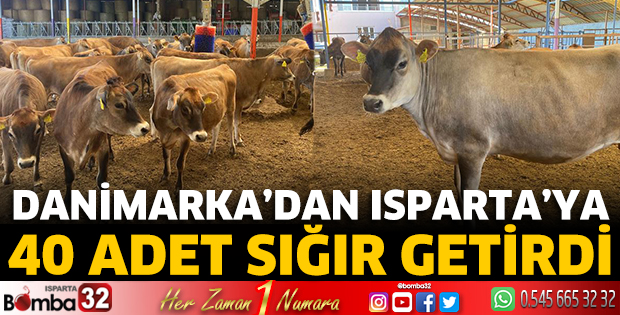 Isparta’da hastalıktan ari Jersey Sığır Çiftliği kuruldu