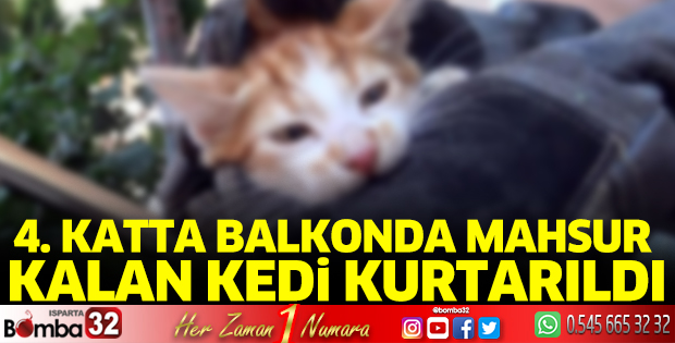 Isparta’da kedi kurtarma operasyonu