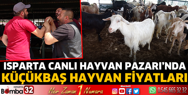 Isparta’da küçükbaş hayvan fiyatları 