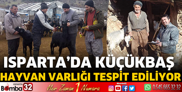 Isparta’da küçükbaş hayvan varlığı tespit ediliyor