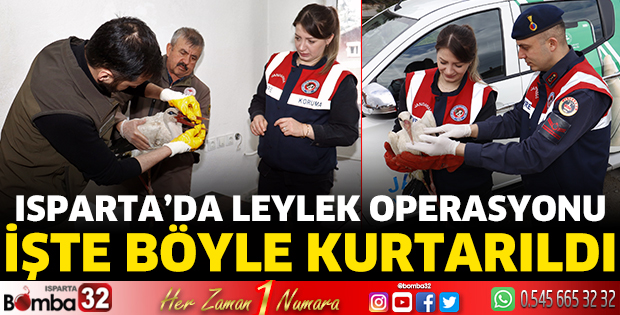 Isparta’da leylek operasyonu 