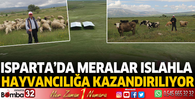 Isparta’da meralar ıslahla hayvancılığa kazandırılıyor