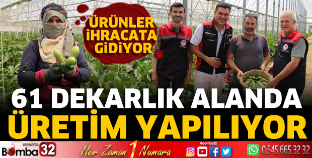 Isparta’da örtüaltı kabak hasadı başladı