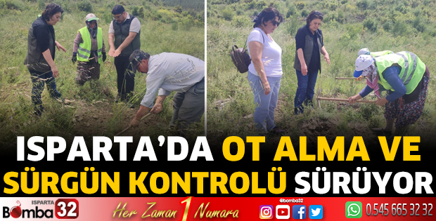 Isparta’da ot alma ve sürgün kontrolü sürüyor