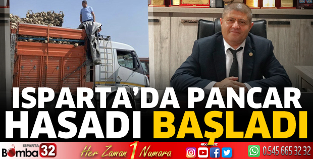 Isparta’da pancar hasadı başladı