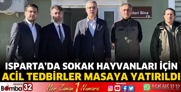 Isparta’da sokak hayvanları için acil tedbirler masaya yatırıldı