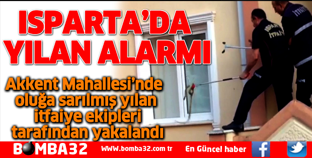 ISPARTA’DA YILAN ALARMI
