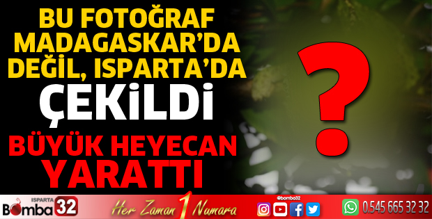 Isparta’nın Sütçüler ormanlarında çekildi
