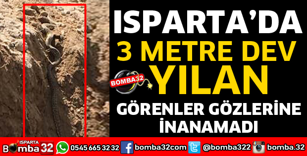 ISPARTA'DA 3 METRELİK DEV YILAN
