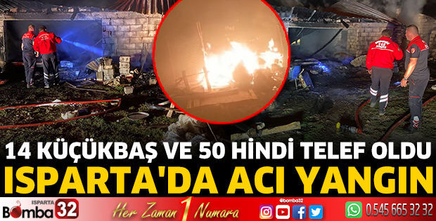 Isparta'da acı yangın