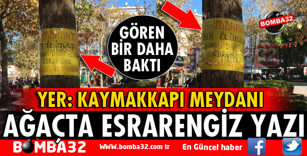 ISPARTA'DA AĞAÇTAKİ YAZIYI GÖRENLER HAYRETE DÜŞTÜ