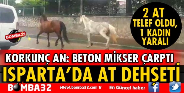 ISPARTA'DA AT DEHŞETİ