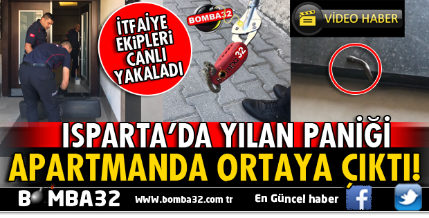 ISPARTA'DA BİR APARTMANDA ORTAYA ÇIKAN YILAN KORKUTTU
