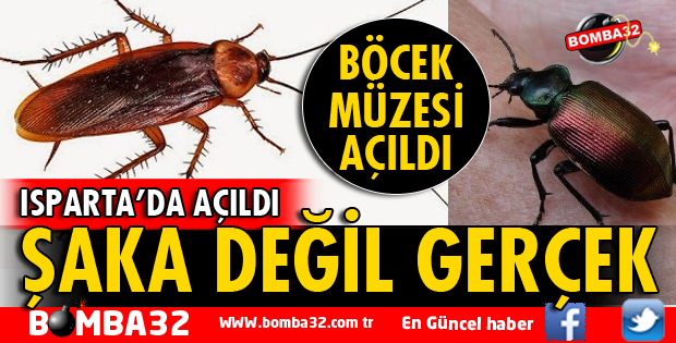 ISPARTA'DA BÖCEK MÜZESİ ZİYARETÇİLERİNİ BEKLİYOR