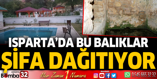 Isparta'da bu balıklar şifa dağıtıyor