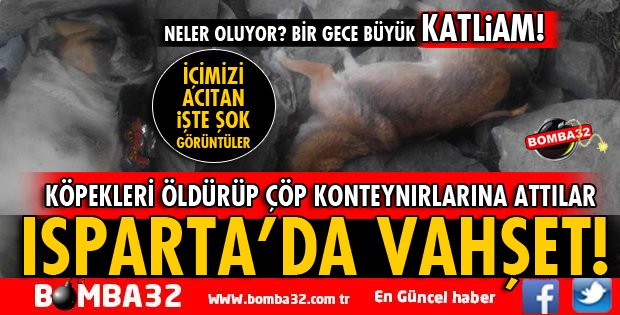 ISPARTA'DA DEHŞETE DÜŞÜREN KÖPEK KATLİAMI!