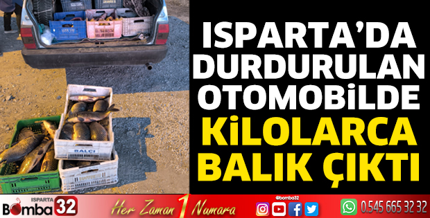 Isparta'da durdurulan otomobilden kilolarca balık çıktı