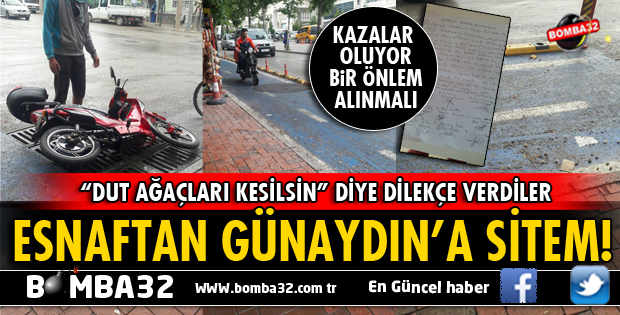 ISPARTA'DA DUT AĞAÇLARI TEHLİKE SAÇIYOR