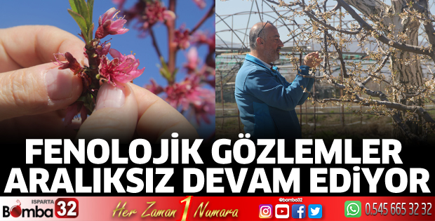 Isparta'da Fenolojik Gözlemler aralıksız devam ediyor