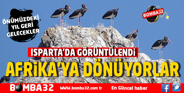 ISPARTA'DA GÖRÜNTÜLENDİ  AFRİKA'YA DÖNÜYORLAR