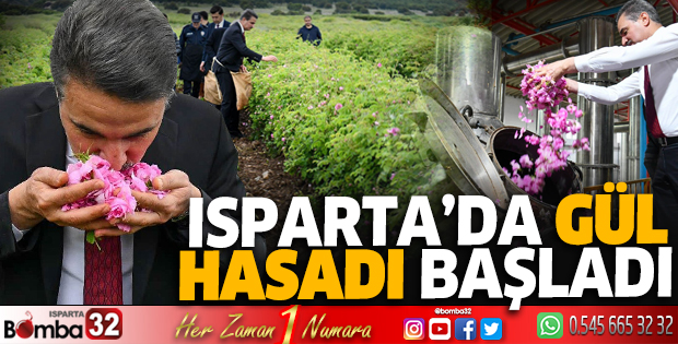Isparta'da gül hasadı başladı