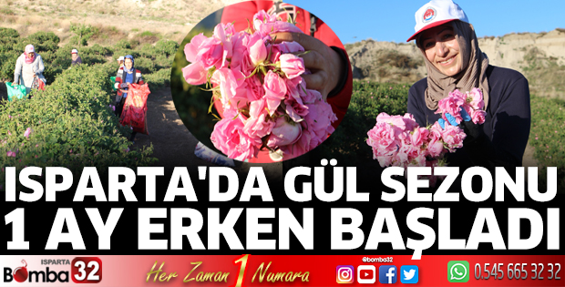 Isparta'da gül sezonu 1 ay erken başladı