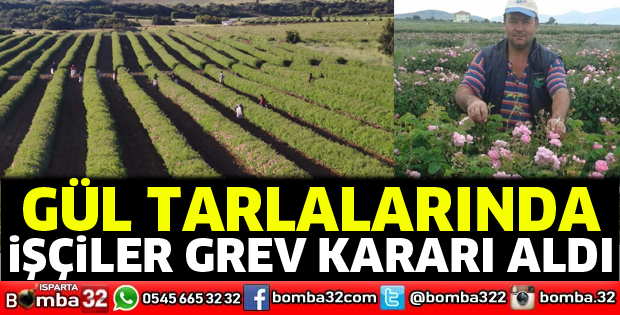 Isparta'da gül toplayan işçiler grev kararı aldı