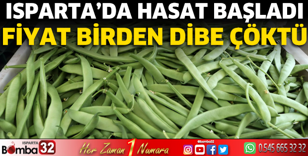 Isparta'da hasat başladı