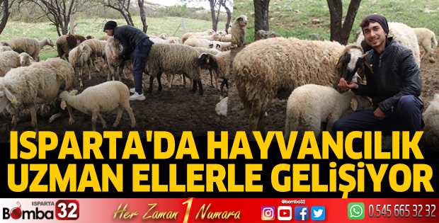 Isparta'da hayvancılık uzman ellerle gelişiyor
