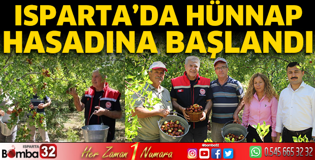 Isparta'da hünnap hasadı başladı