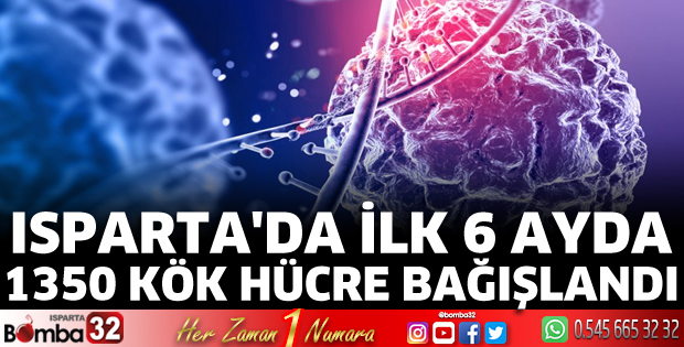 Isparta'da ilk 6 ayda 350 kök hücre bağışlandı