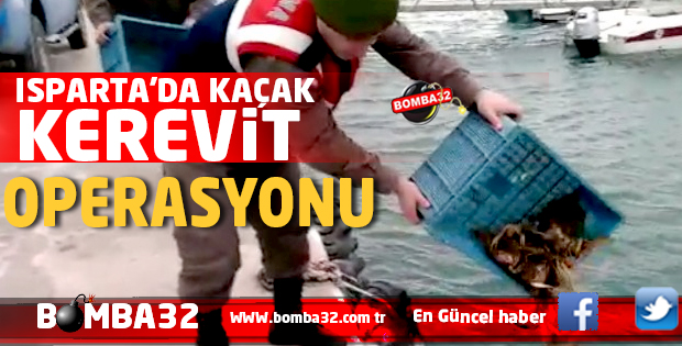 ISPARTA'DA KAÇAK KEREVİT OPERASYONU! 