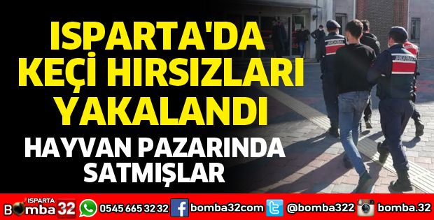 ISPARTA'DA KEÇİ HIRSIZLARI YAKALANDI