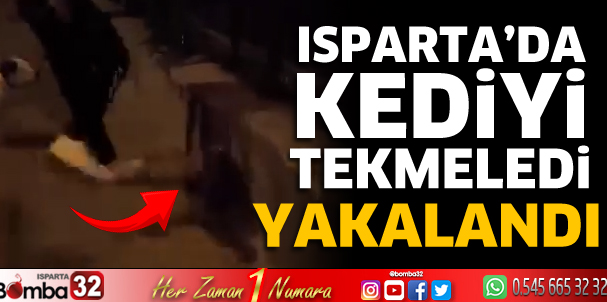 Isparta'da kediyi tekmeledi 