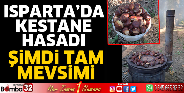 Isparta'da kestane hasadı