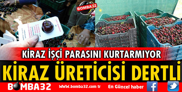 ISPARTA'DA KİRAZ ÜRETİCİLERİ DERTLİ