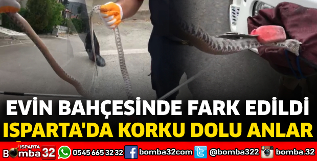 Isparta'da korku dolu anlar: Evin bahçesinde fark edildi...