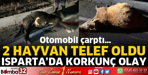 Isparta'da korkunç olay